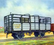 225-Afrika--Zweichsiger-Viehtransportwagen