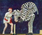 80-Das-Wunderzebra-der-Drei-Barriungs