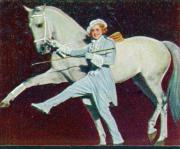 115-Cilly-Feindt