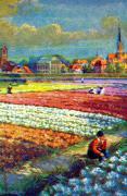 02-Haarlen---Tulpenfeld