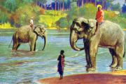40-Ceylon--Badende-Elefanten