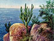 07-Blick-vom-Rand-des-Usambara-Gebirges-bei-Utili