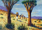 098-Baum-Euphorbien-in-der-Namib