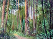 174-Urwald-in-der-Kameschlucht