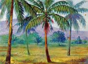 248-Kokospalmen-auf-Samoa