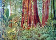 249-Samoanischer-Urwald